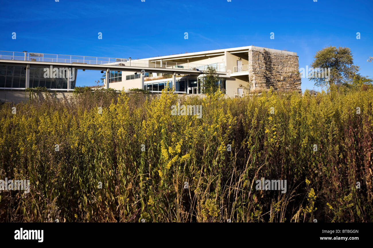 Nature Museum in Chicago Stock Photo Alamy