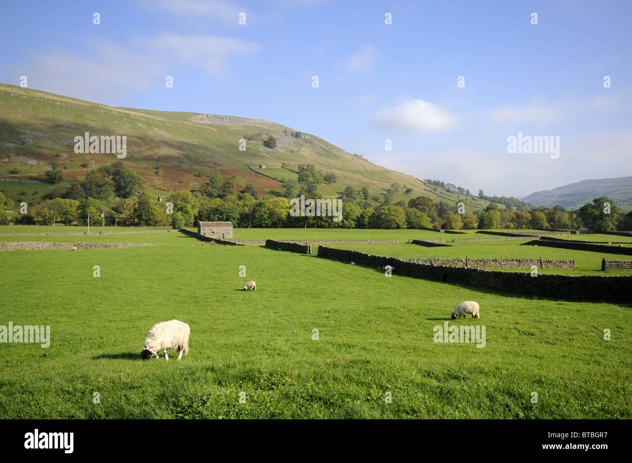 Muker North Yorkshire Stock Photo Alamy