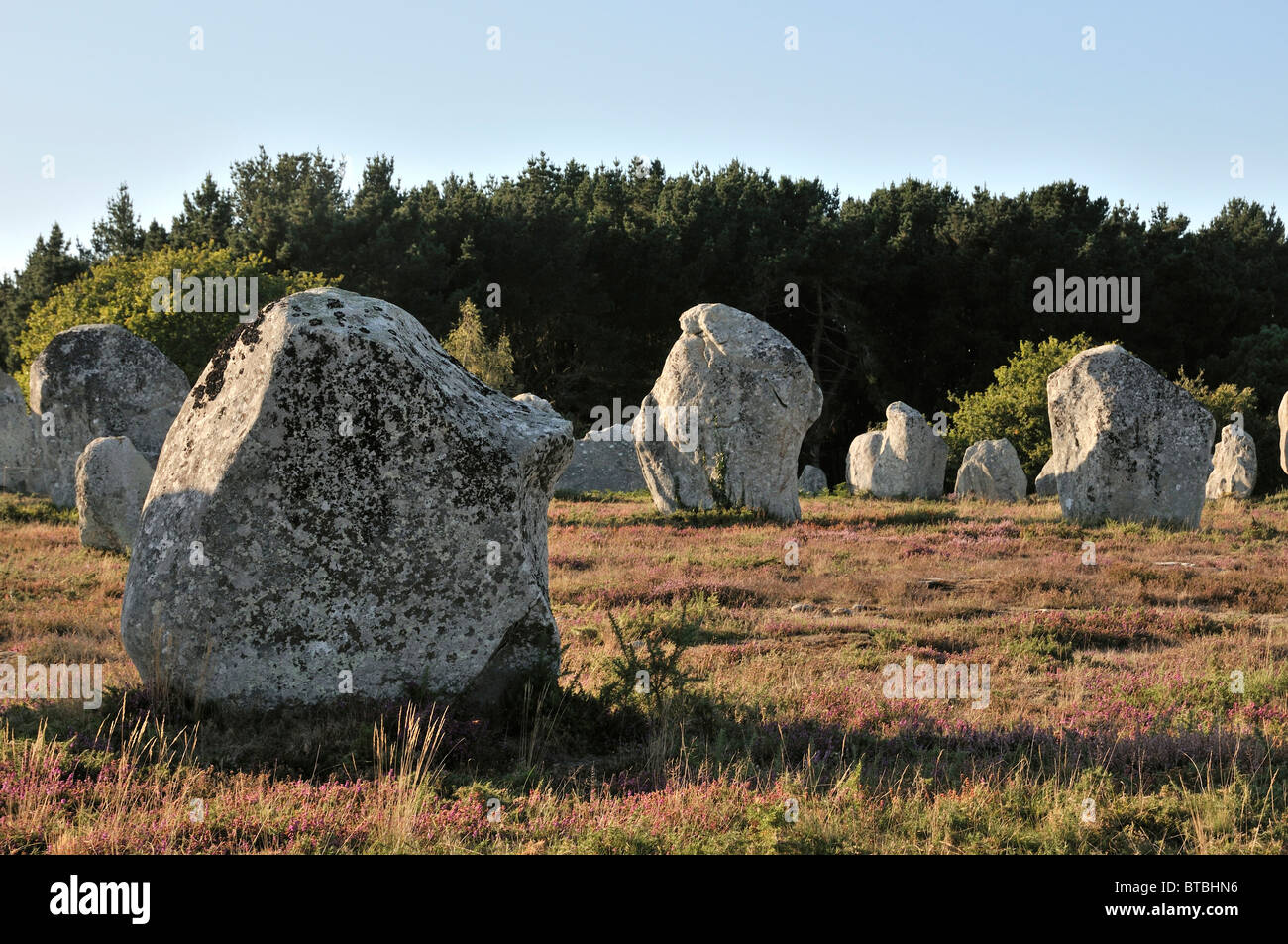 The Standing Stones of Carnac, Brittany, France Stock Photo
