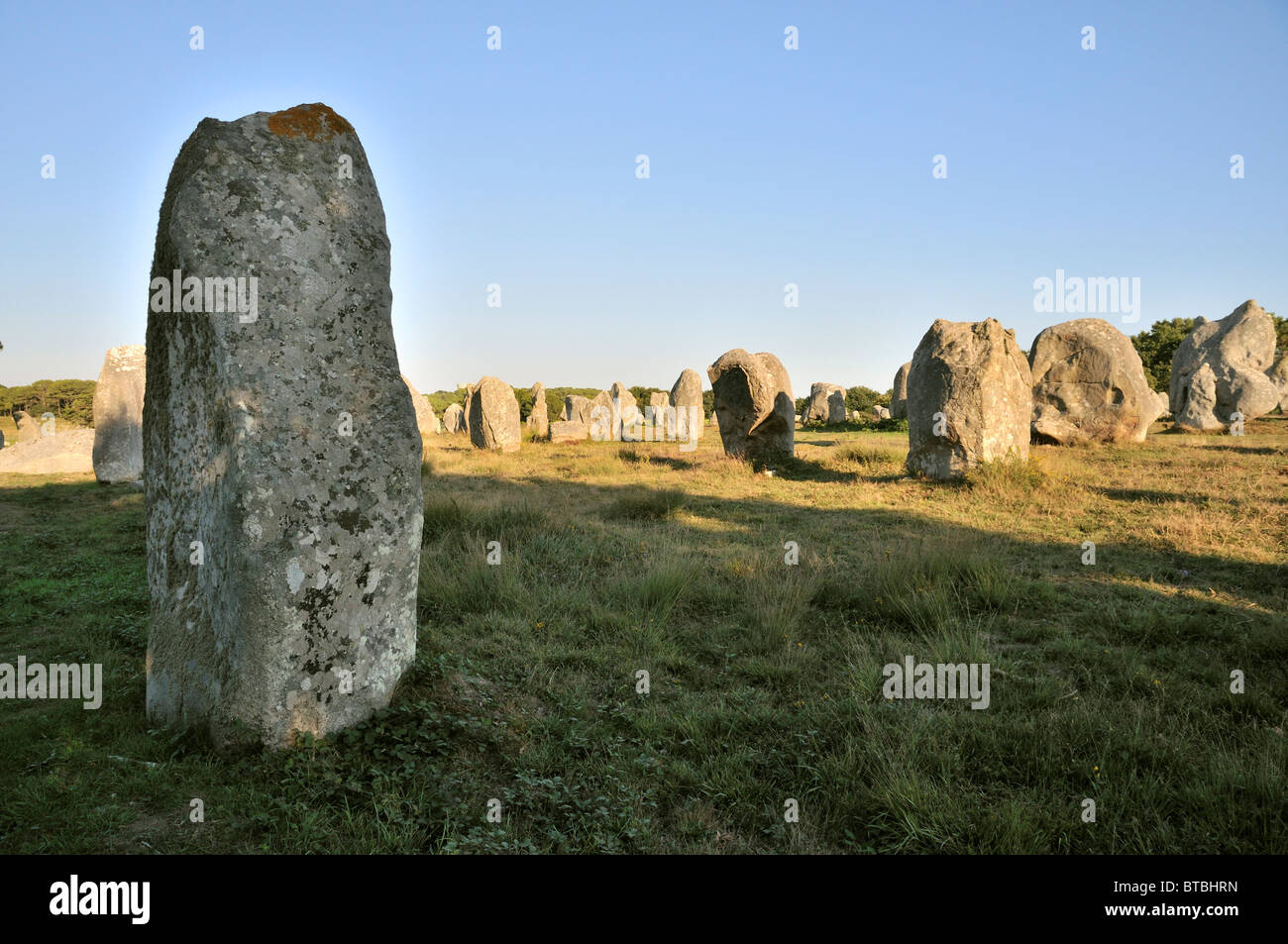 The Standing Stones of Carnac, Brittany, France Stock Photo