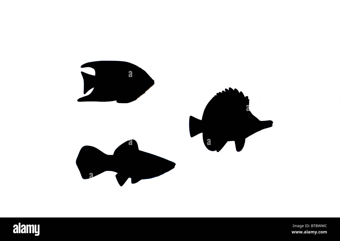 silhouettes of reef fish Stock Photo