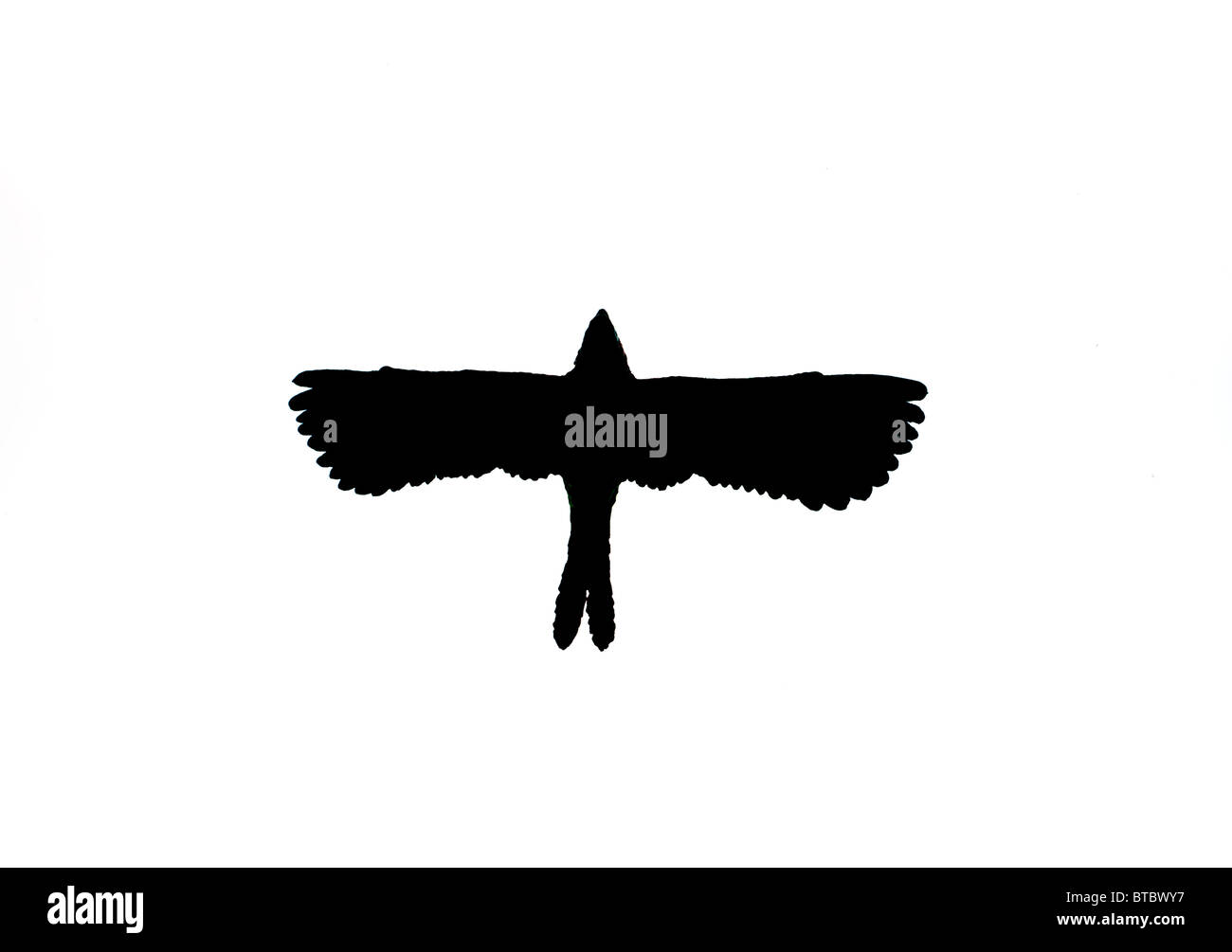 silhouette of flying bird Stock Photo