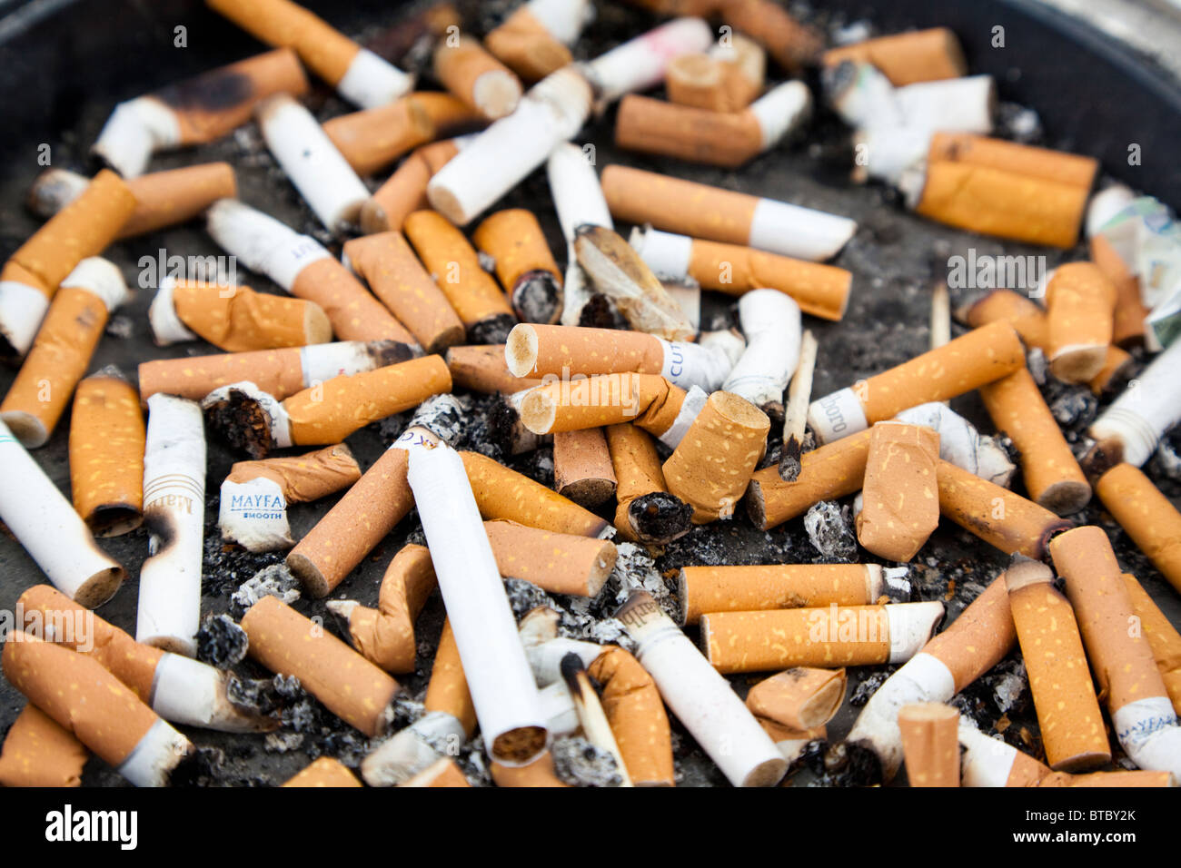 cigarette dog ends Cigarette dog end hi-res stock photography and images