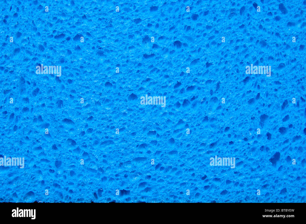 Close up detail of a generic blue sponges texture Stock Photo - Alamy