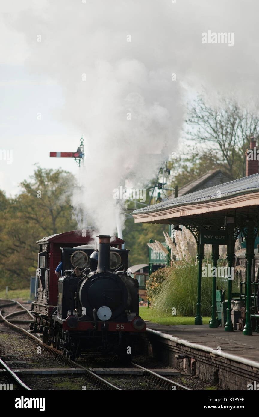 A1X Class Locomotive 55 Stepney, Bluebell Railway, Sussex, England Stock Photo
