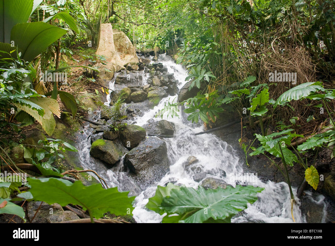 Waterfall Eden Project The worlds largest Greenhouse United Kingdom Stock Photo