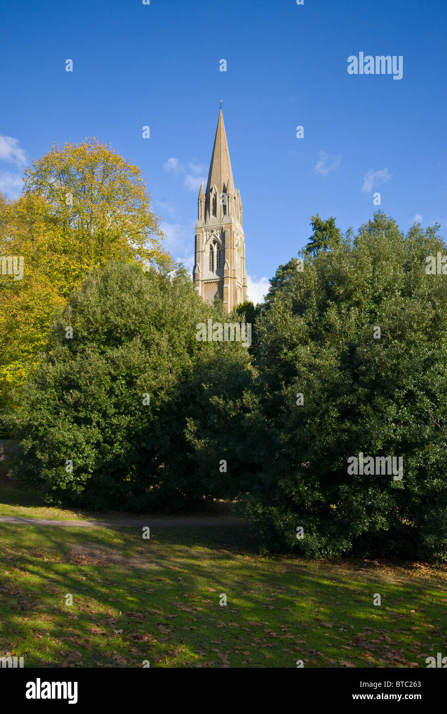 The Spire Of St John The Evangelist Church Redhill Above The Surrounding Trees Stock Photo
