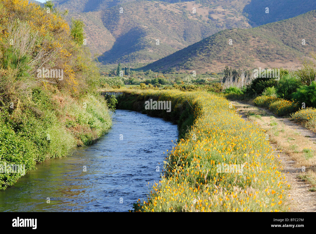 Main channel of irrigation water Stock Photo