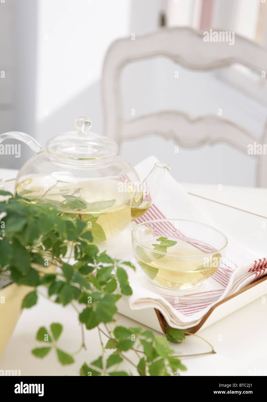 Herb tea Stock Photo