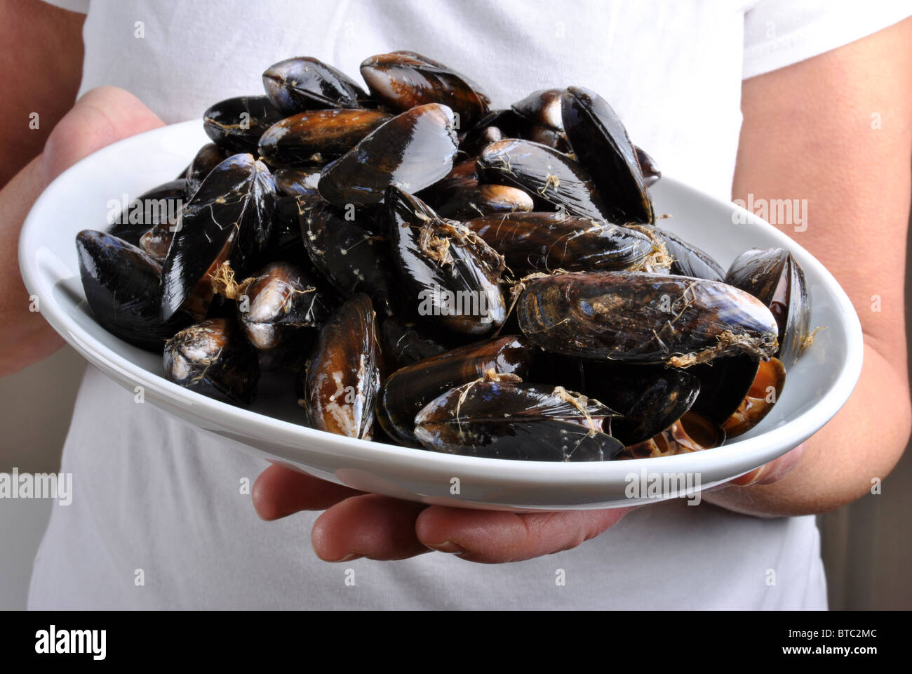 cooked and opened organic mussel ready to eat Stock Photo Alamy
