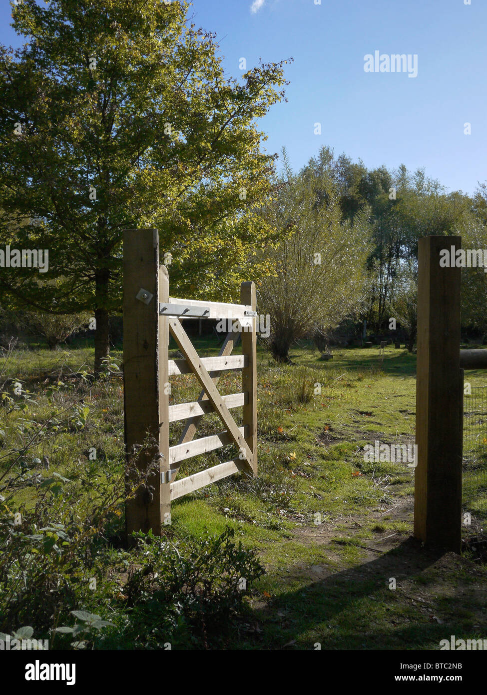 Field Gate in Hampshire, UK Stock Photo