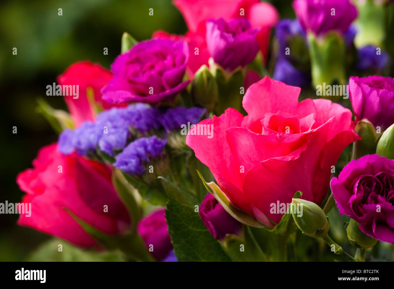 Mixed bunch of hot coloured roses, carnations and statice Stock Photo