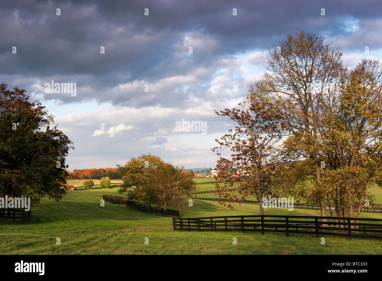 Boyce clarke hi-res stock photography and images - Alamy