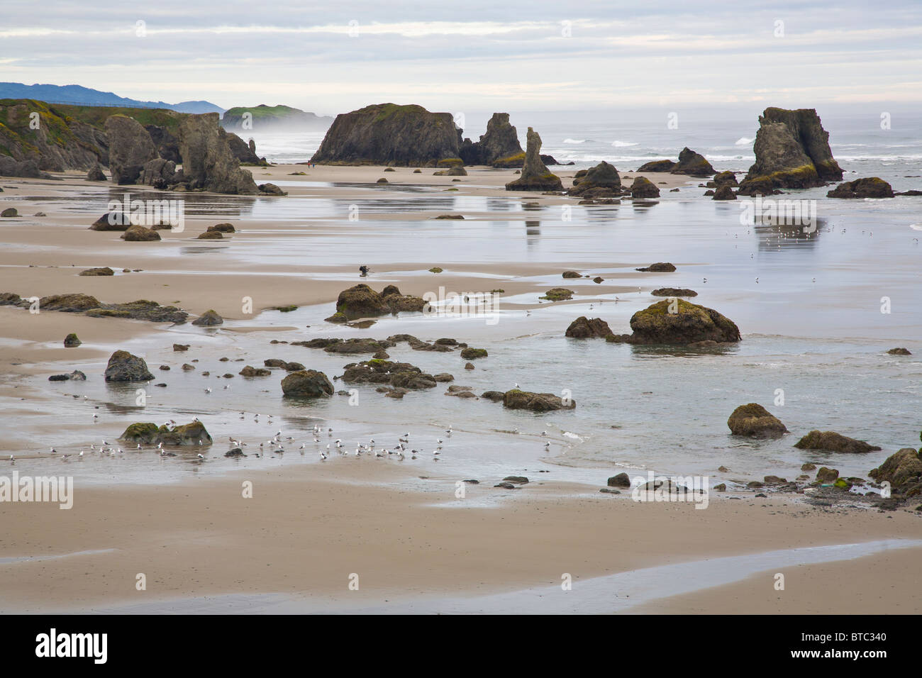 Low tide at Bandon Beach with seastacks on the Pacific Ocean coast of Bandon Oregon Stock Photo