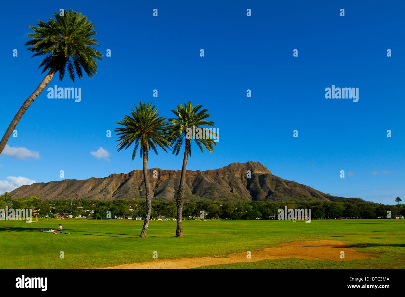 Clear blue sky with palm trees looking towards Diamond Head, in Oahu, Hawaii Stock Photo