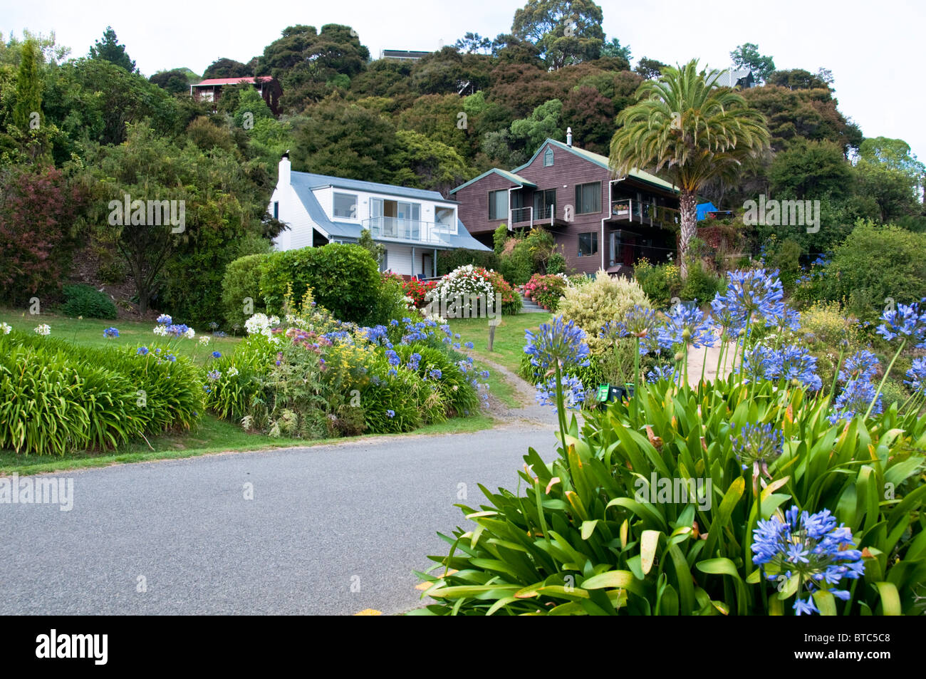 Akaroa Market Garden,Architecture,Typical Old Homes,Harbor,Boats