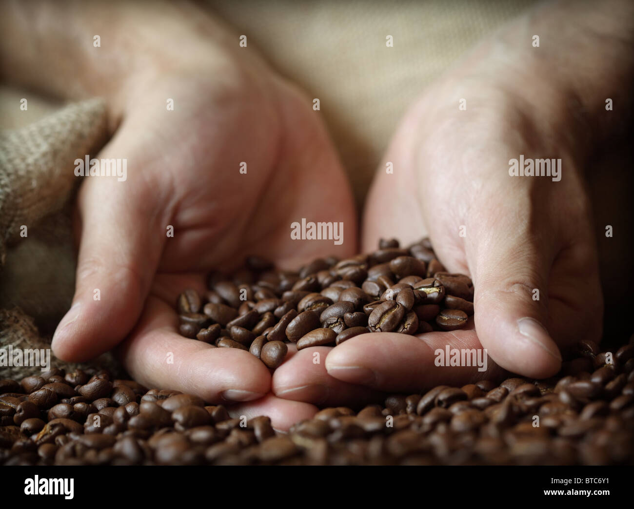 Hand holding coffee beans Stock Photo