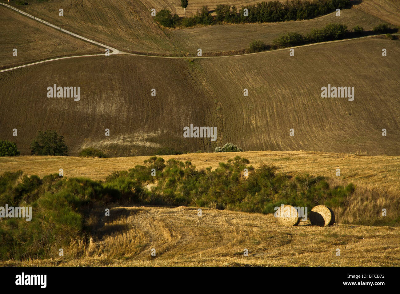 Undulating harvested corn fields in golden light near Pienza Tuscany Italy Stock Photo