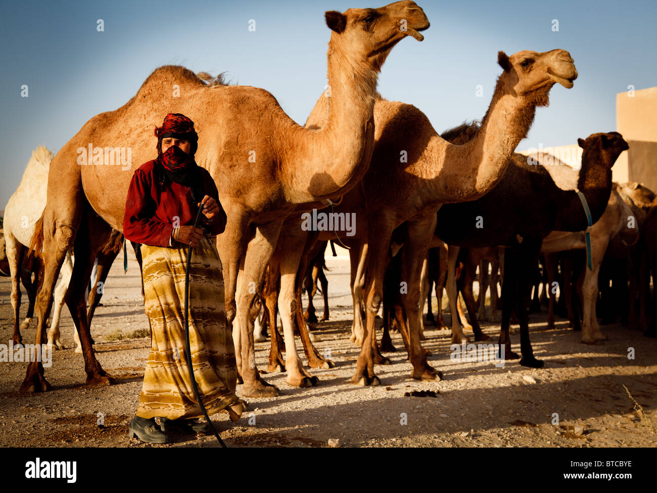 Syrian bedouin hi-res stock photography and images - Alamy