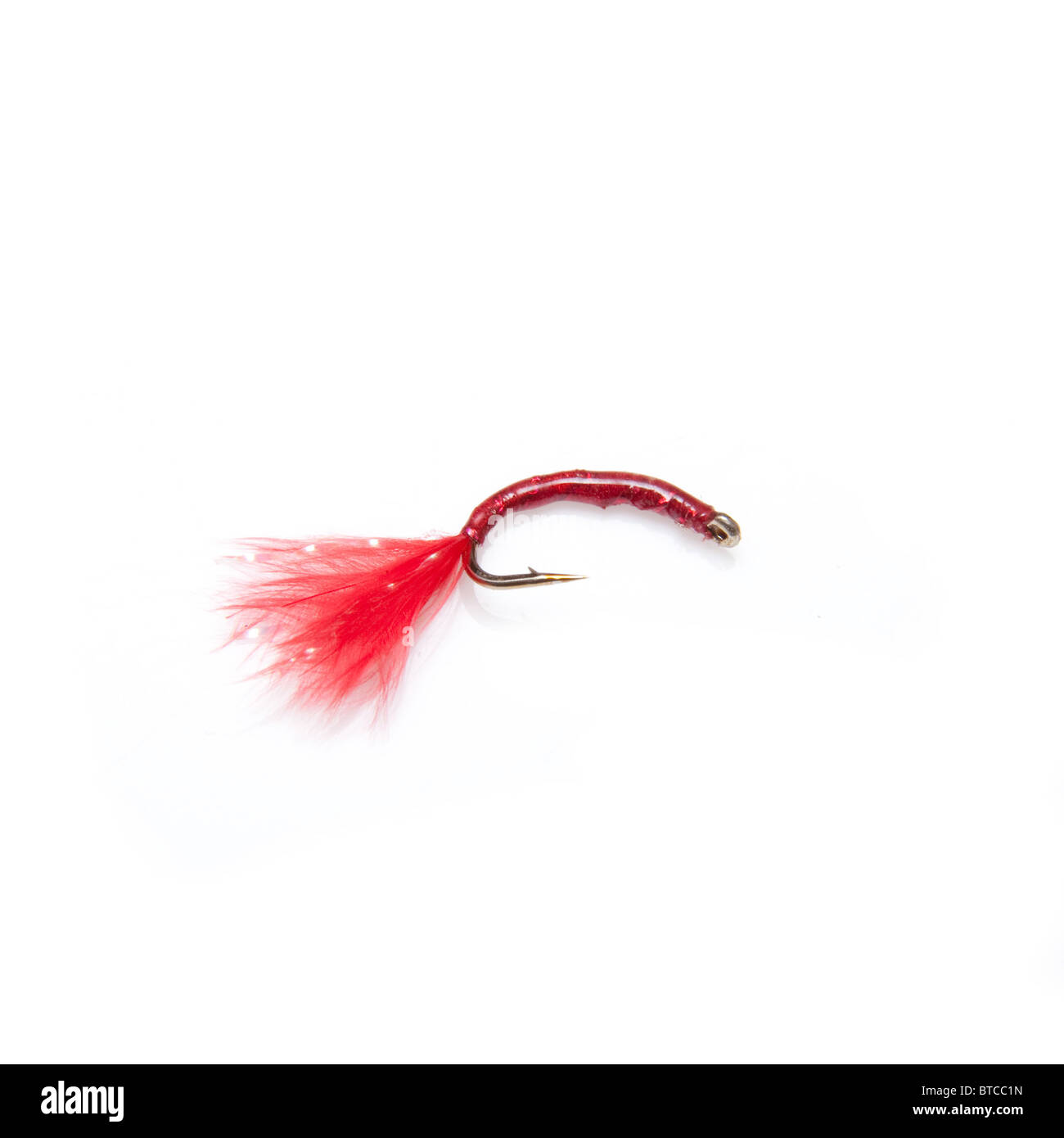 Bloodworm trout fishing fly isolated on a white studio background Stock  Photo - Alamy