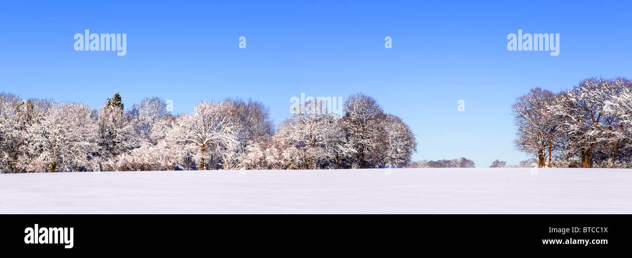 Panoramic landscape photo of a field and trees covered in fresh snow with a clear blue sky. Stock Photo