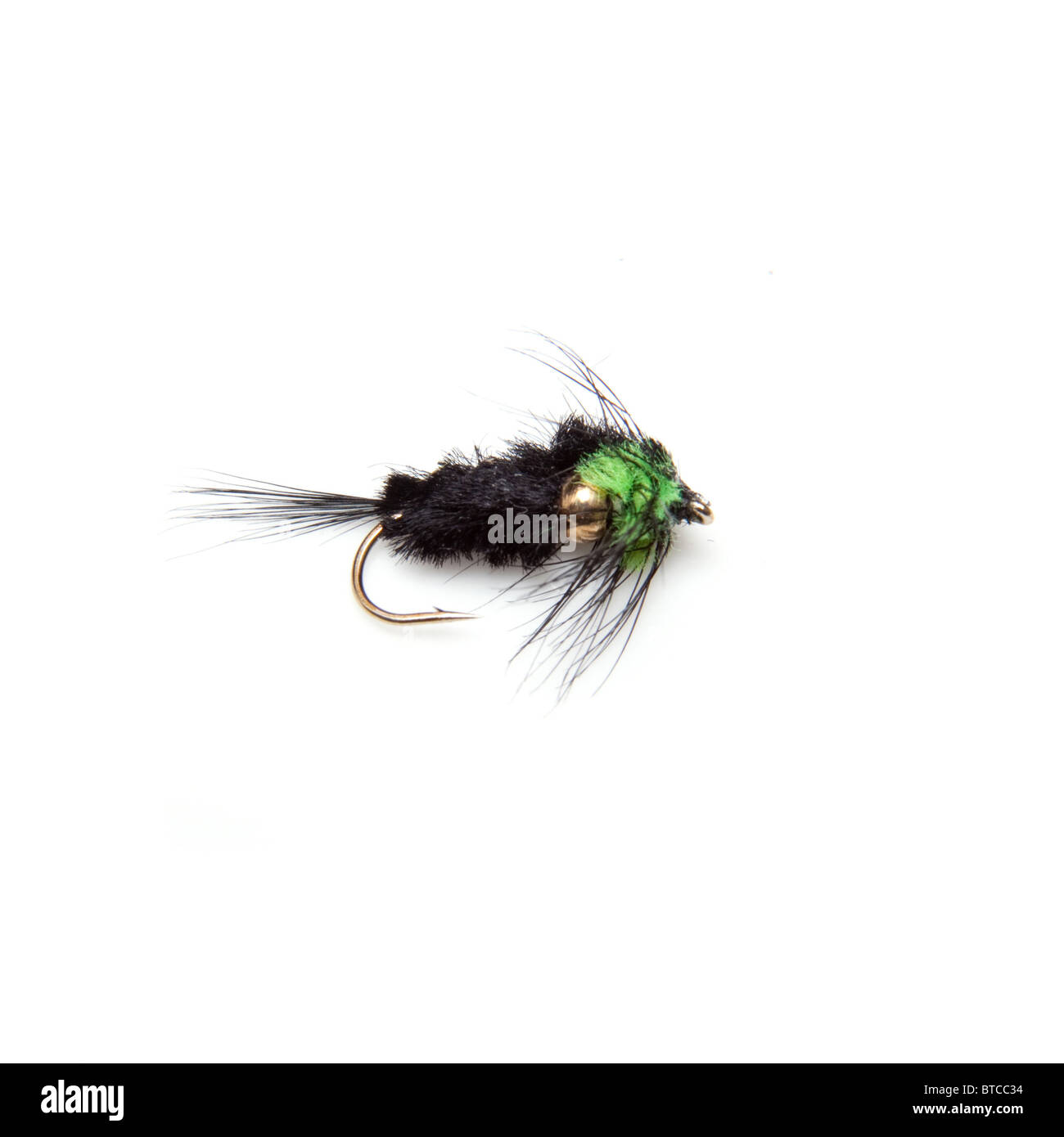 Montana trout fly weighted isolated on a white studio background Stock