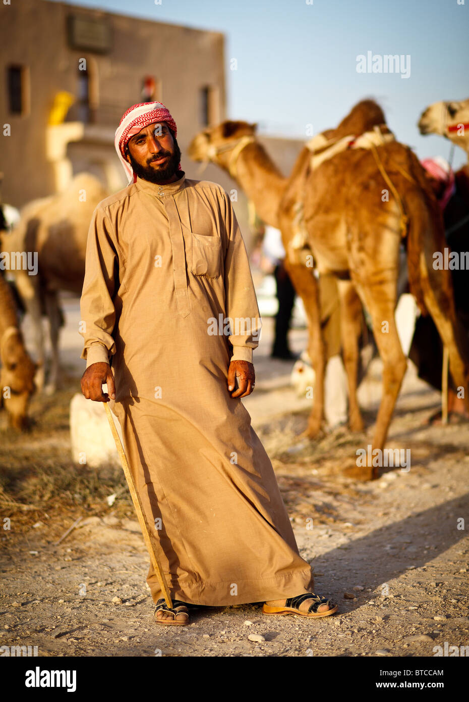 Bedouin and Camels in the Syrian desert near Palmyra Stock Photo