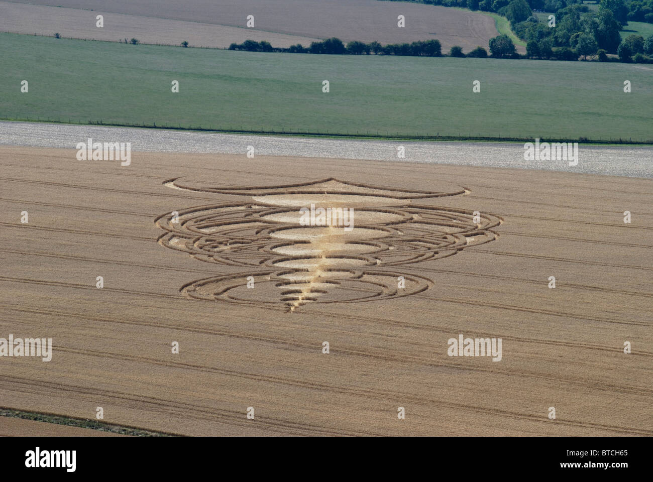 Crop circle in middle of corn field below Pewsey Downs near Avebury. Wiltshire. England Stock Photo