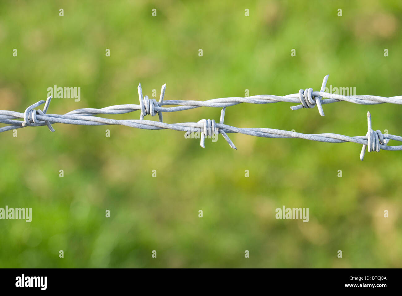 Barbed on sale wire uses