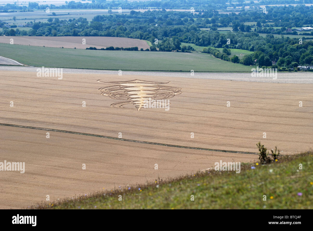 Crop circle in middle of corn field below Pewsey Downs near Avebury. Wiltshire. England Stock Photo