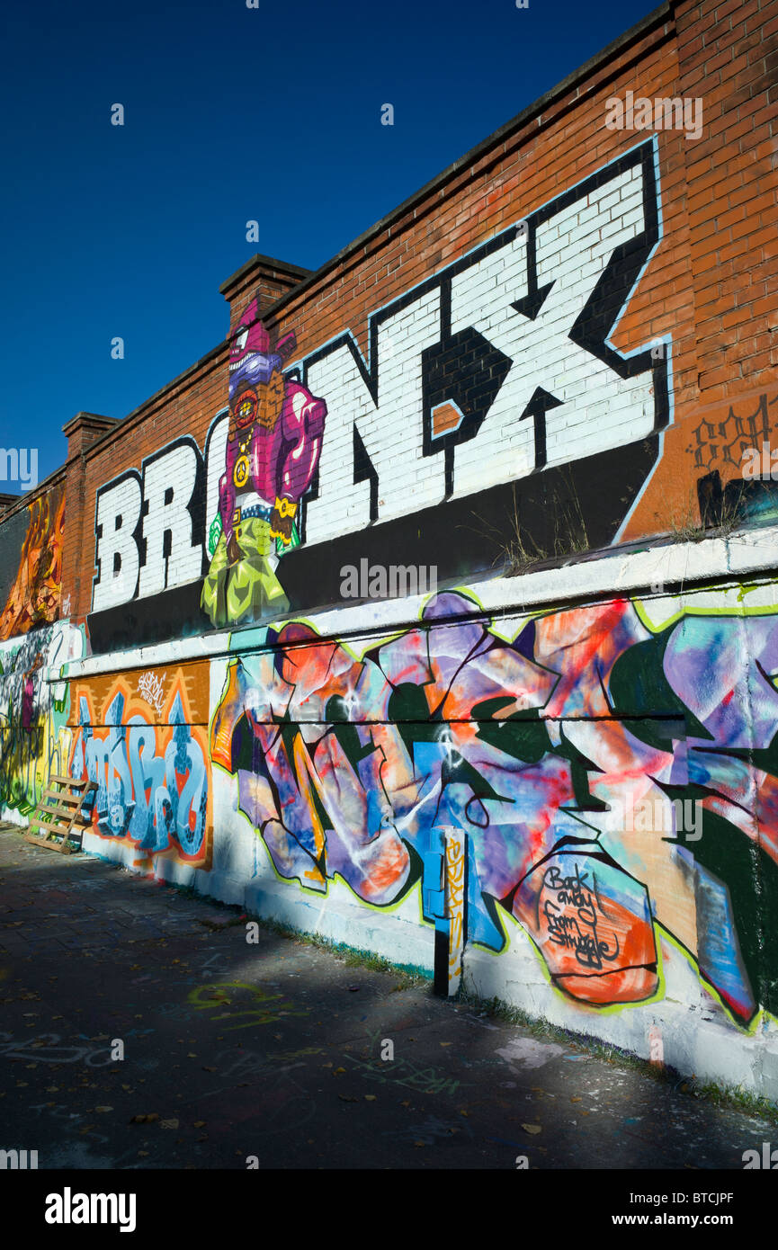Bronx Graffiti Train