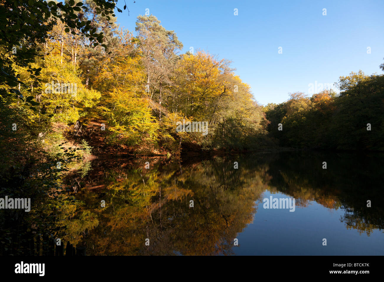 autumn trees reflected in still lake Stock Photo - Alamy