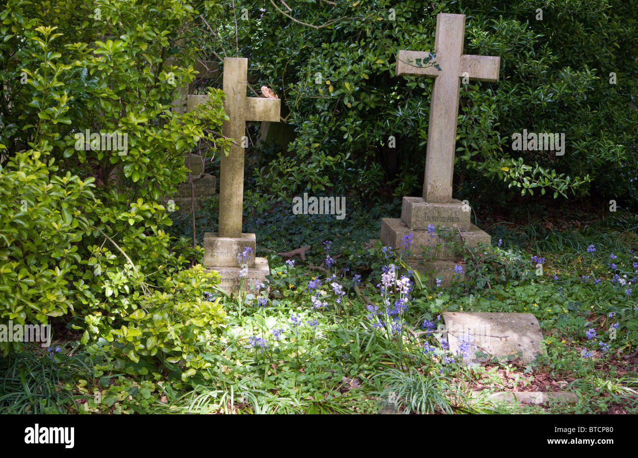Cross memorial's in Brighton Extra Mural cemetery Stock Photo Alamy