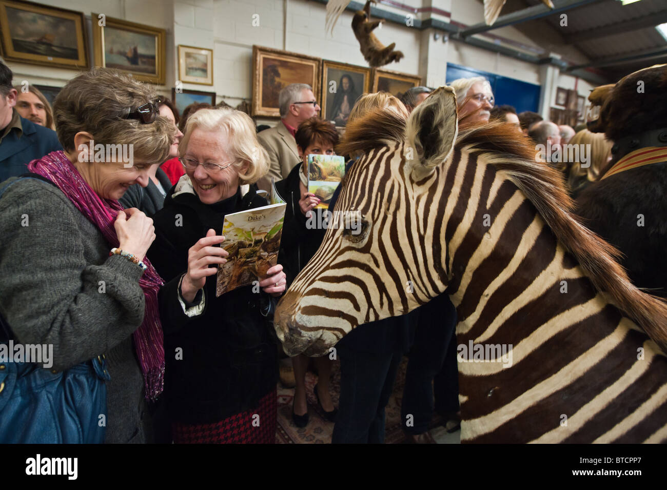 Auction Of The Brading Collection From The Isle Of Wight At