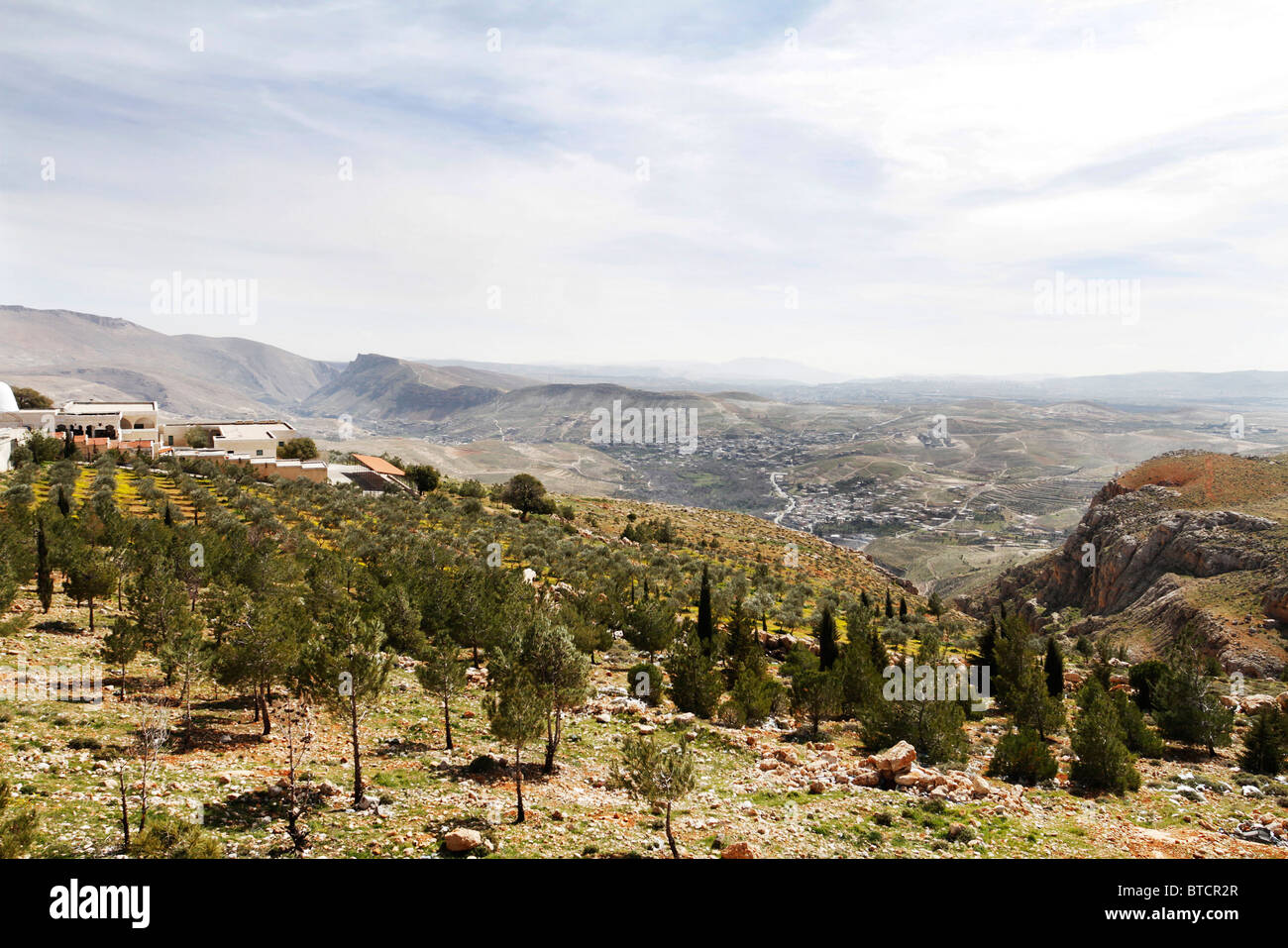 Farming in Syria Stock Photo - Alamy