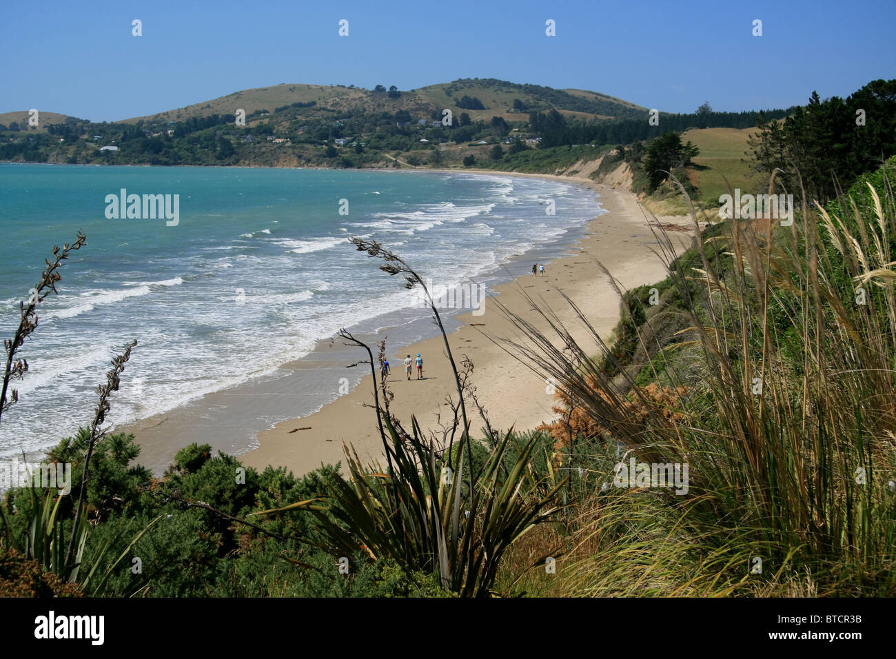 Beach at Moeraki on the Otago Peninsula Stock Photo