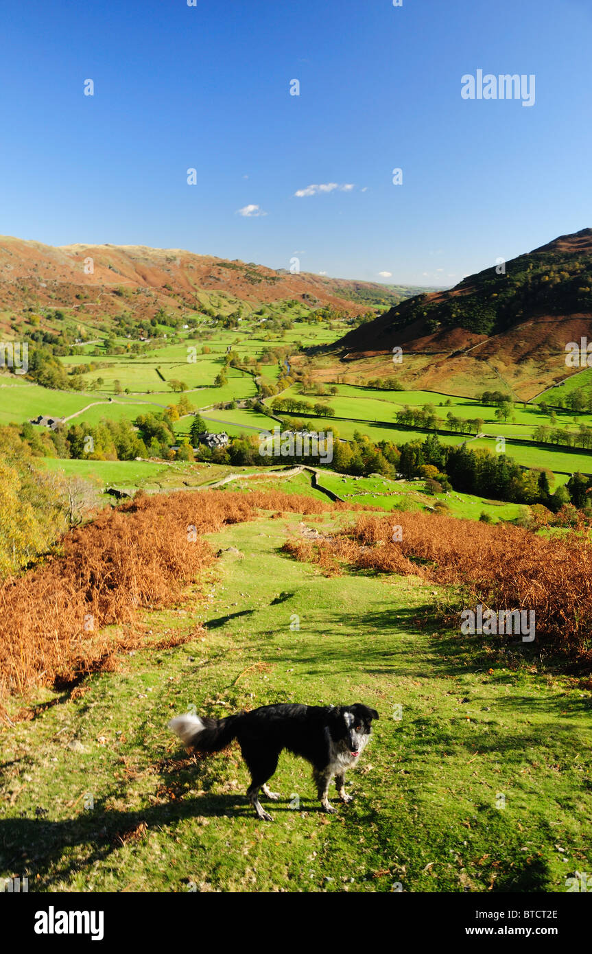View down the Great Langdale Valley in autumn in the English Lake District Stock Photo