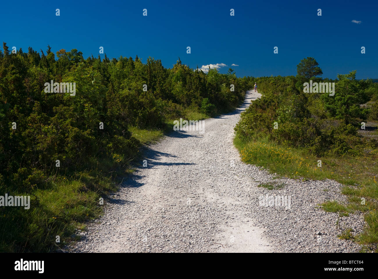 Orjaku or Kassari shank nature trail at Hiiumaa island, Estonia Stock Photo