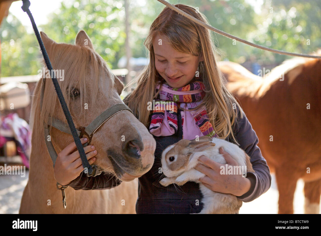 portrait of a young girl showing a rabbit to a pony Stock Photo - Alamy