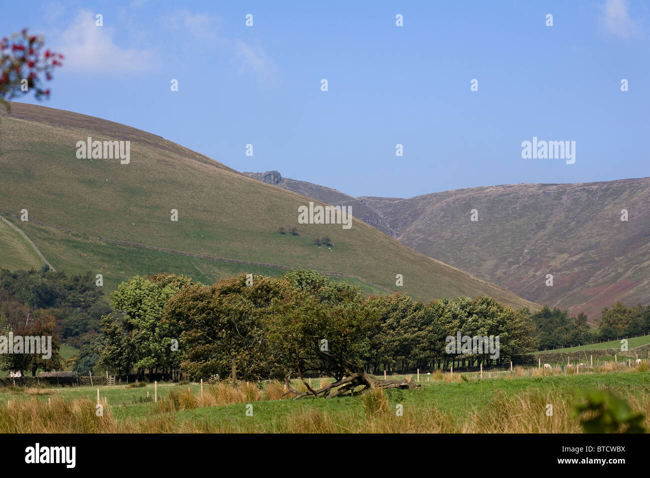 Edale Autumn and Kinder Scout looking toward Jacobs Ladder and Edale Cross from Upper Booth Derbyshire England Stock Photo