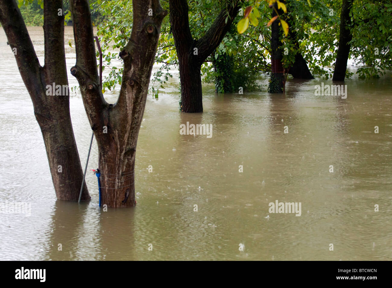 Flooding waters of river Sava and Krka in Slovenia, September 2010 Stock Photo