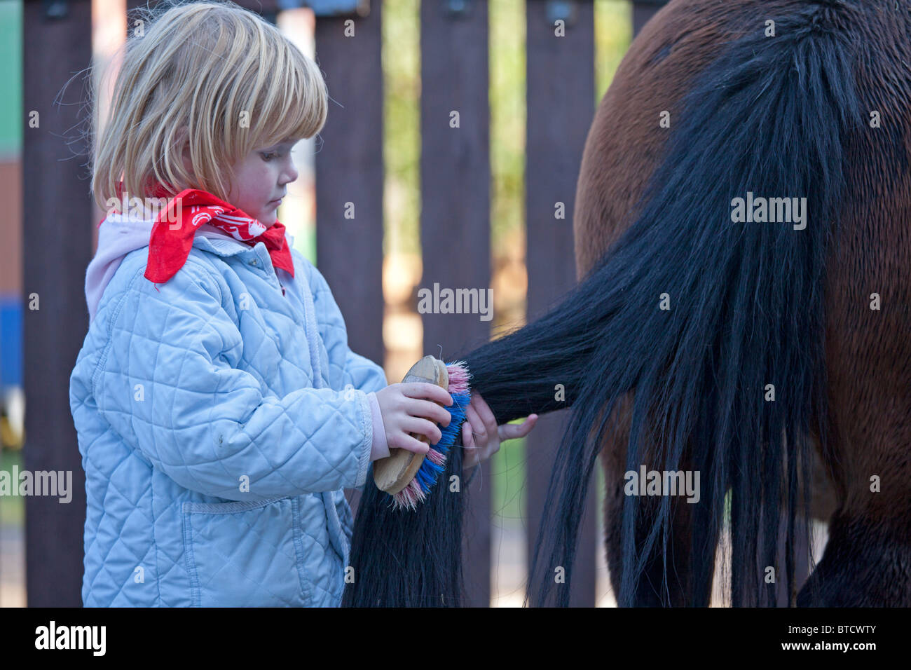 portrait of a little girl brushing a horse´s tail Stock Photo Alamy