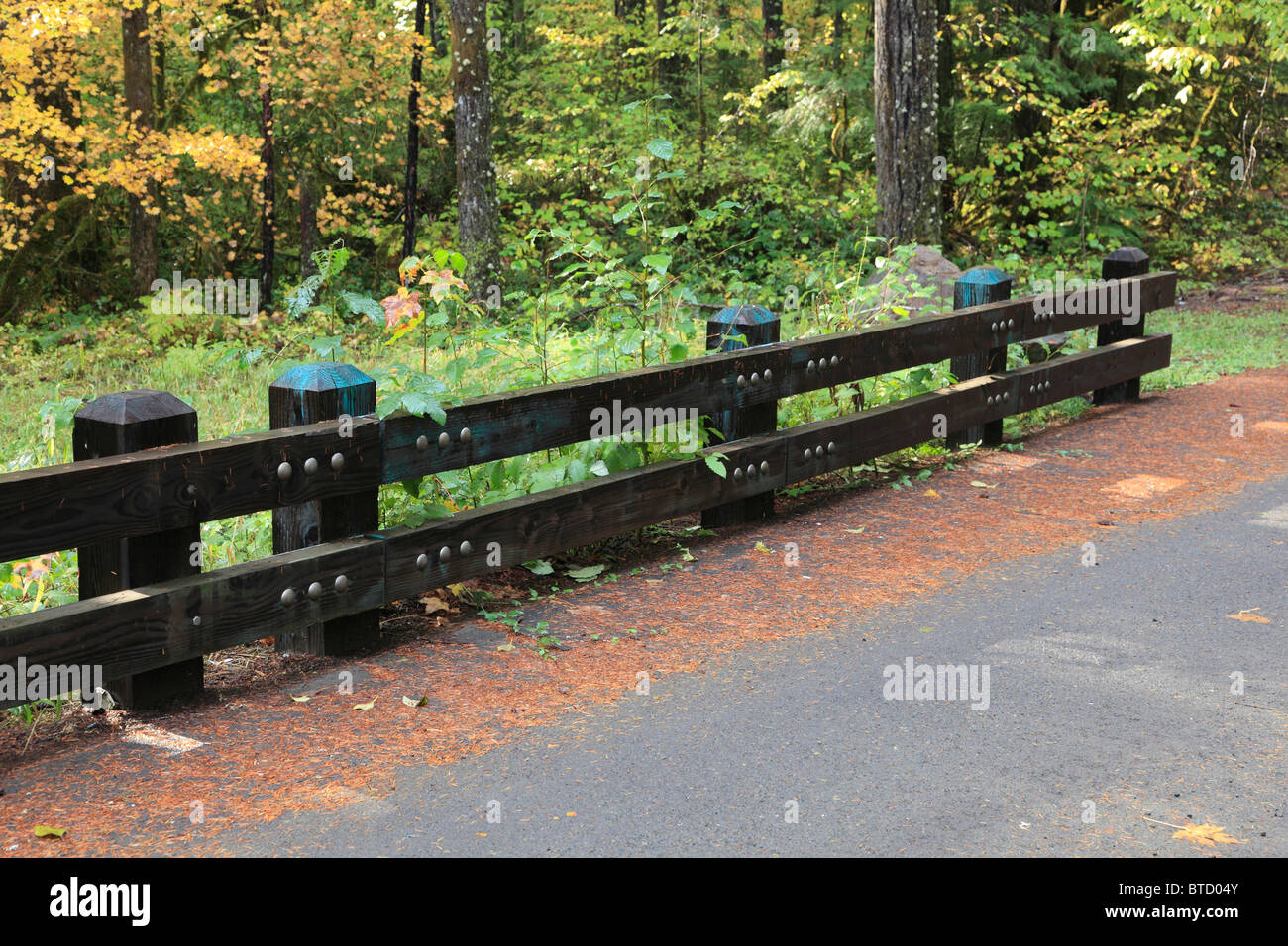 Wood beam guard rails in the forest. Stock Photo