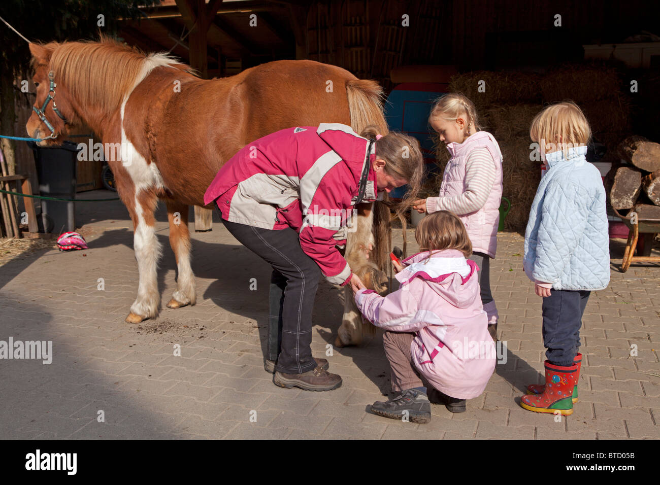Clean Ponies small girl cleaning the hooves of a pony supervised by her riding ...