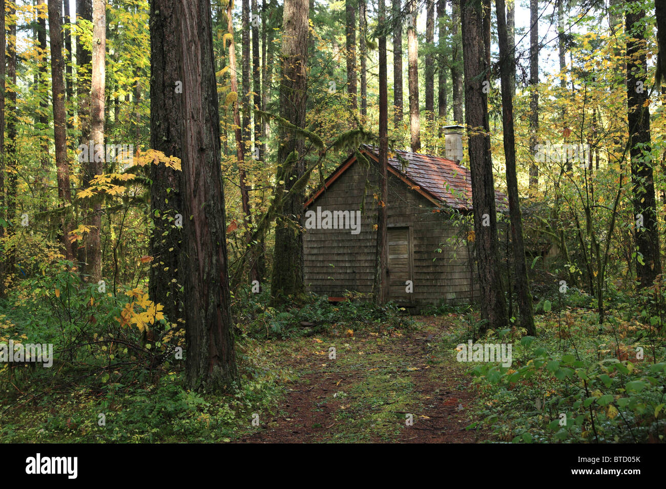 An old cabin in the woods Stock Photo: 32247647 - Alamy