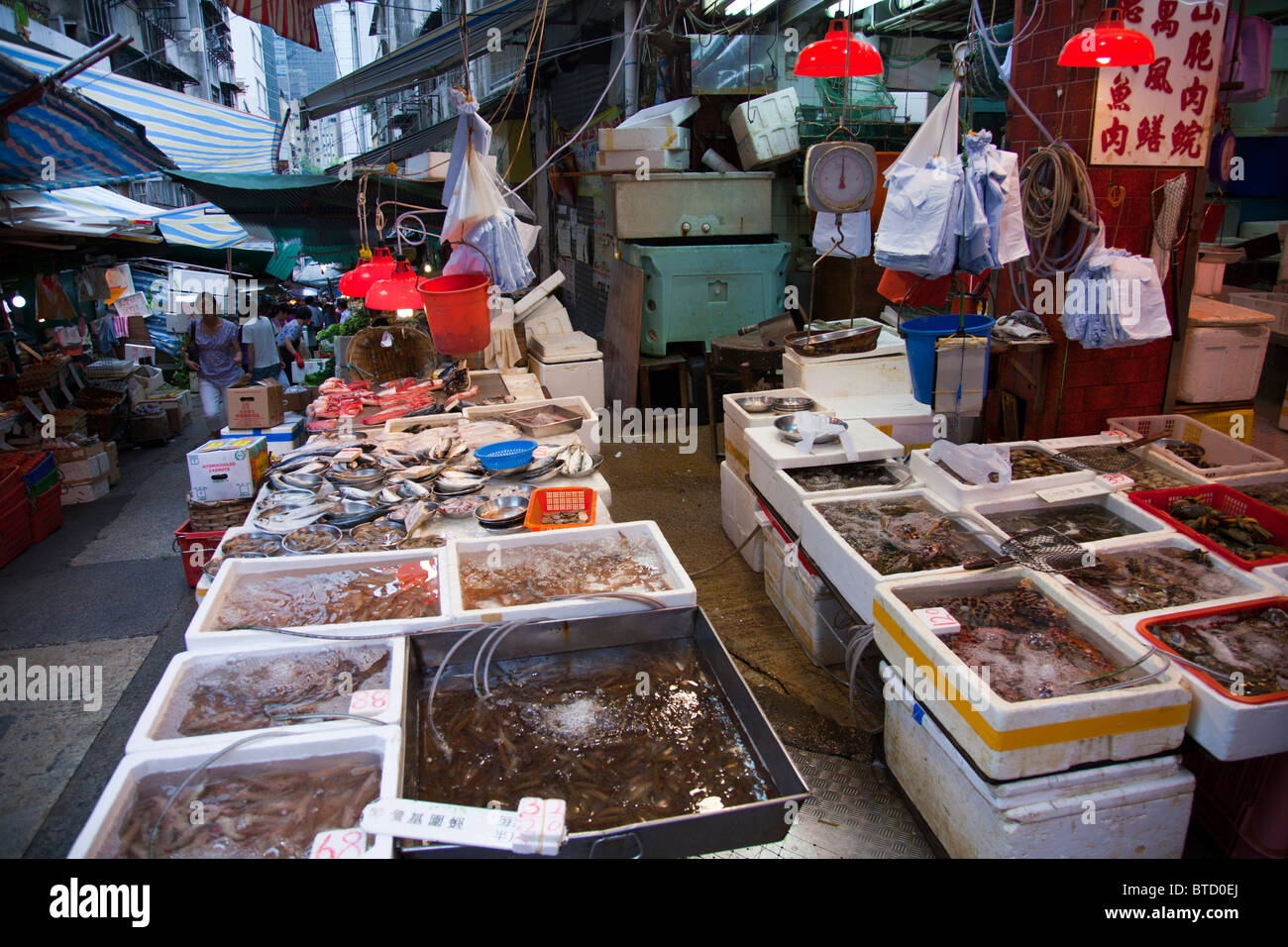 Typical fish market stall on Hong Kong island selling live fish and shellfish Stock Photo