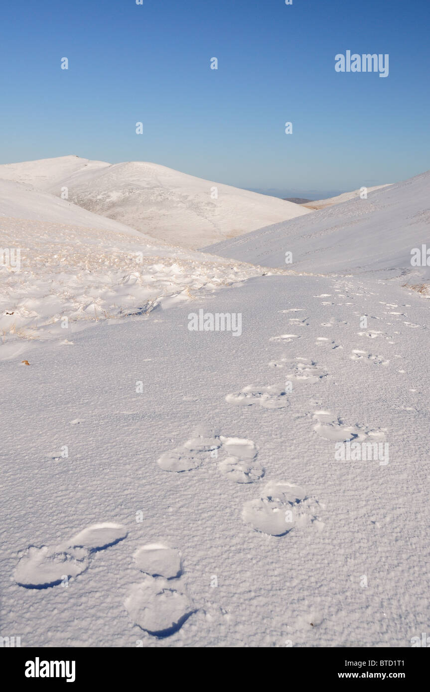 Footprints in the snow on Coledale Hause amongst mountains in the English Lake District Stock Photo