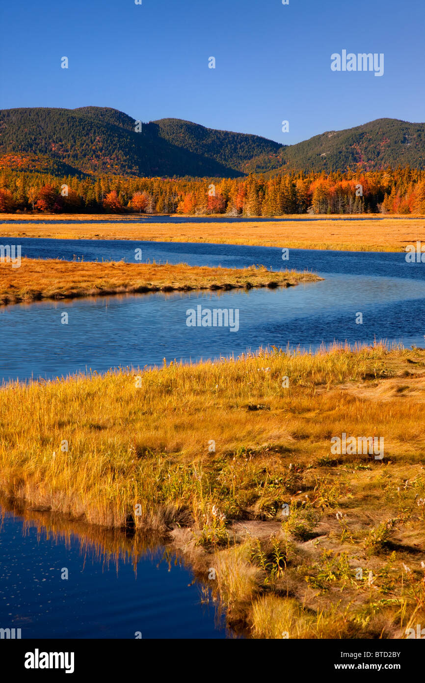 Bass Harbor Marsh in autumn, Bass Harbor Maine USA Stock Photo