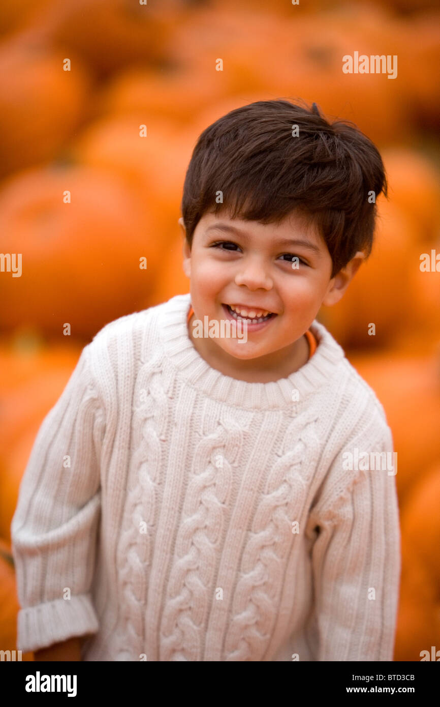 Three year old boy at pumpkin patch (MR) Stock Photo