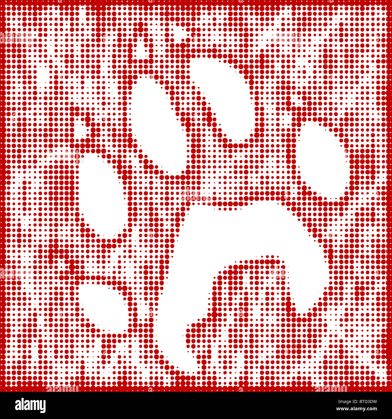 Red Wolf Paw Print